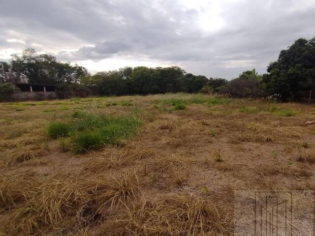 #116 - Área para Venda em Ribeirão Preto - SP