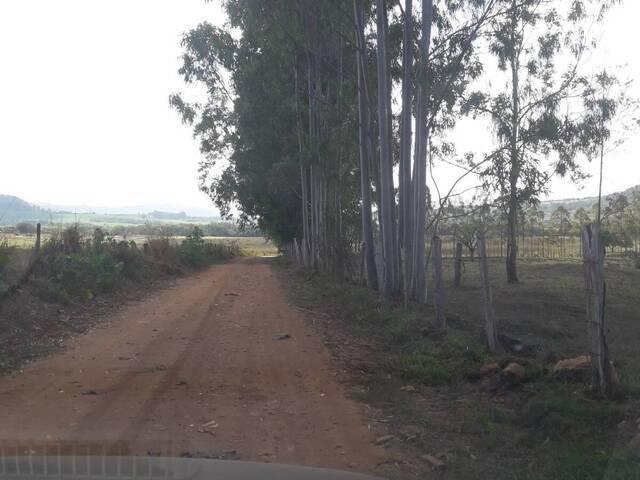 #215 - Sítio para Venda em Santo Antônio da Alegria - SP - 2