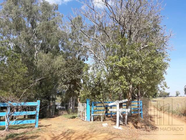 #215 - Sítio para Venda em Santo Antônio da Alegria - SP - 3