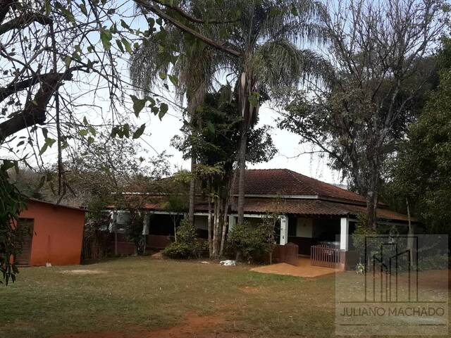 Sítio para Venda em Santo Antônio da Alegria - 5