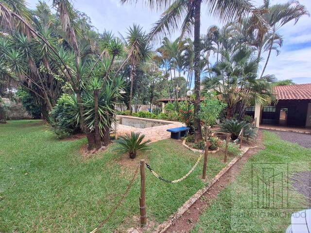 #250 - Chácara para Venda em Ribeirão Preto - SP