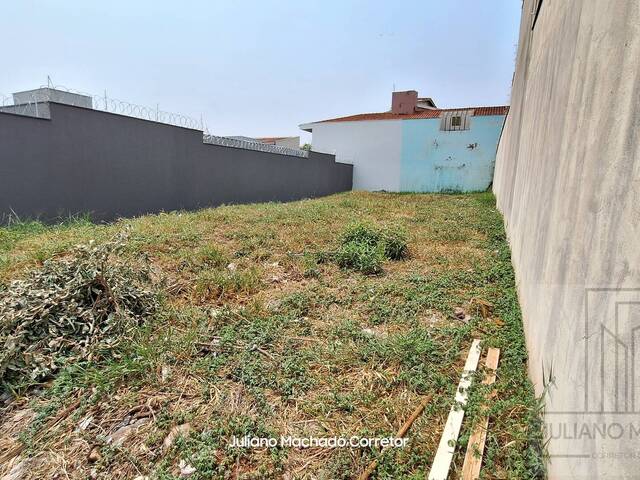 #327 - Área para Venda em Ribeirão Preto - SP - 2