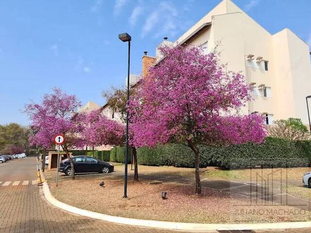 #447 - Apartamento para Venda em Ribeirão Preto - SP - 1