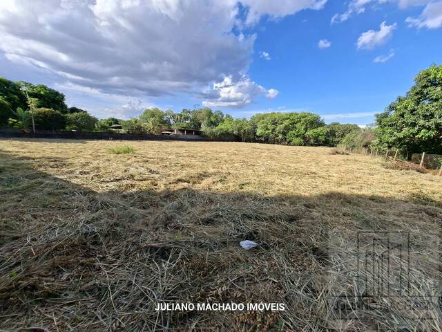 #116 - Área para Venda em Ribeirão Preto - SP - 1