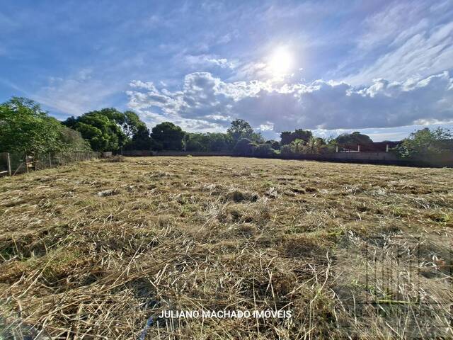 #116 - Área para Venda em Ribeirão Preto - SP - 3