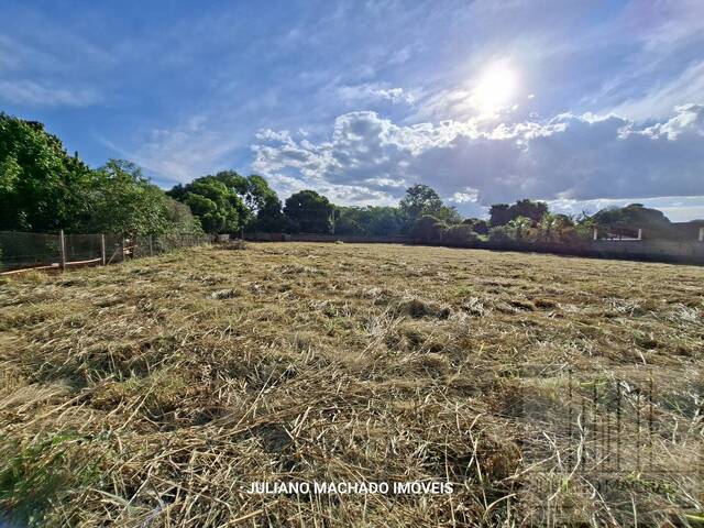 Área para Venda em Ribeirão Preto - 4