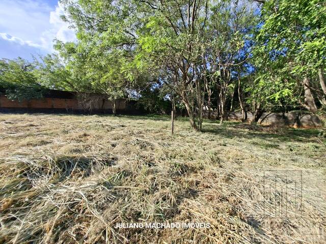 Área para Venda em Ribeirão Preto - 5